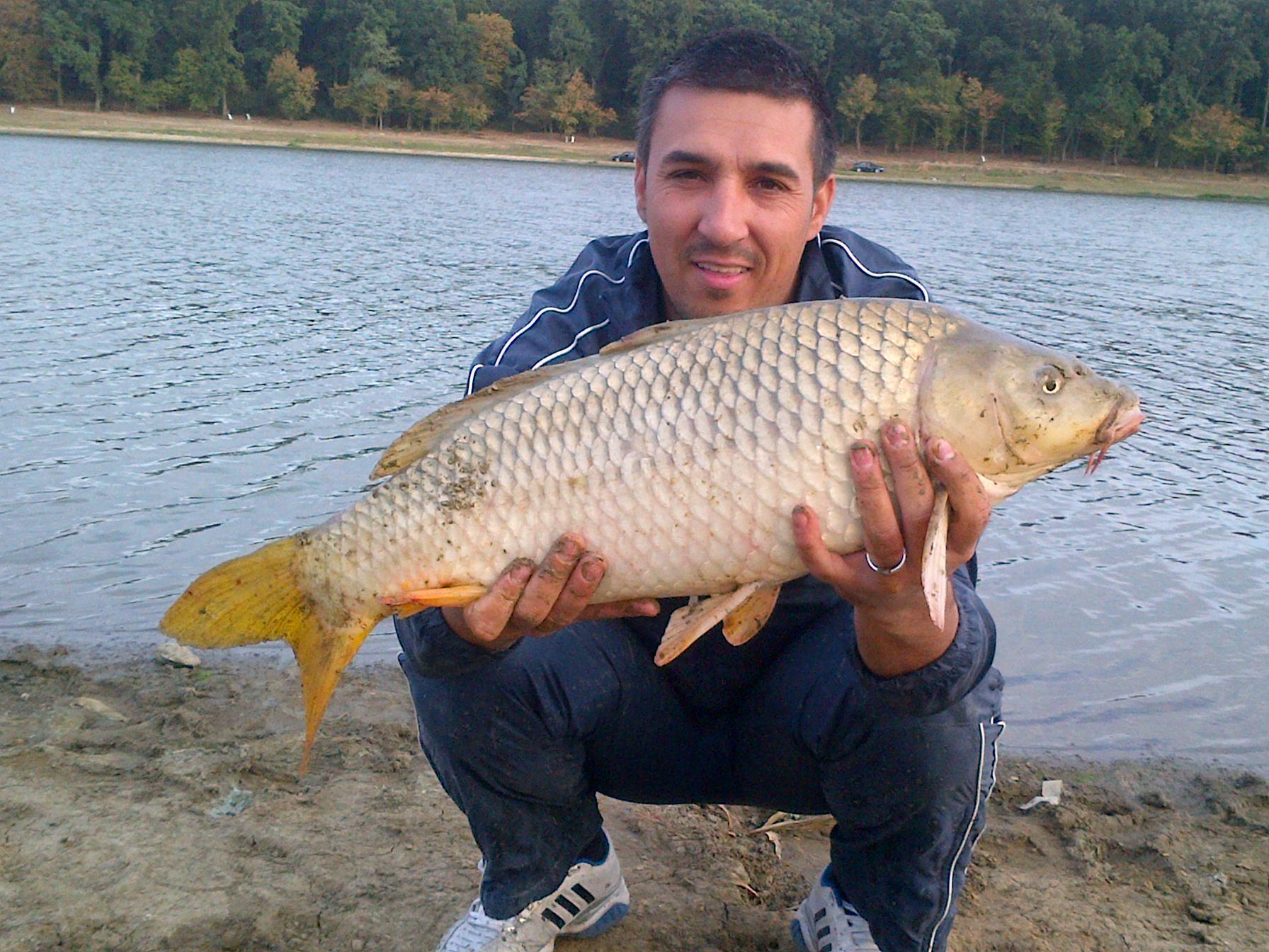 Cetariu 16 - 16 sep. 2012 - IMG-20120916-00053_2.jpg